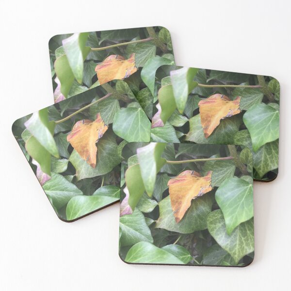 Item preview, Ivy designed and sold by Terra Dumont.