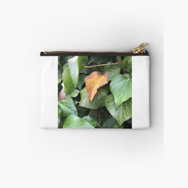 Item preview, Ivy designed and sold by Terra Dumont.
