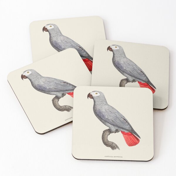 Item preview, African Grey Parrot Antique Naturalist Illustration designed and sold by Antiquated Art.