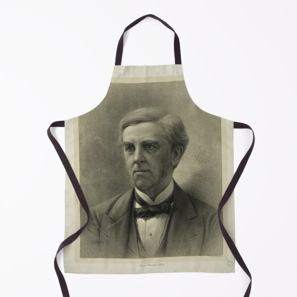 Item preview, Oliver Wendell Holmes (1879) designed and sold by allhistory.