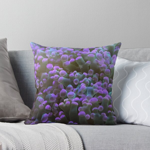 Item preview, A beautiful algae on a coral reef designed and sold by ILIA ILO.