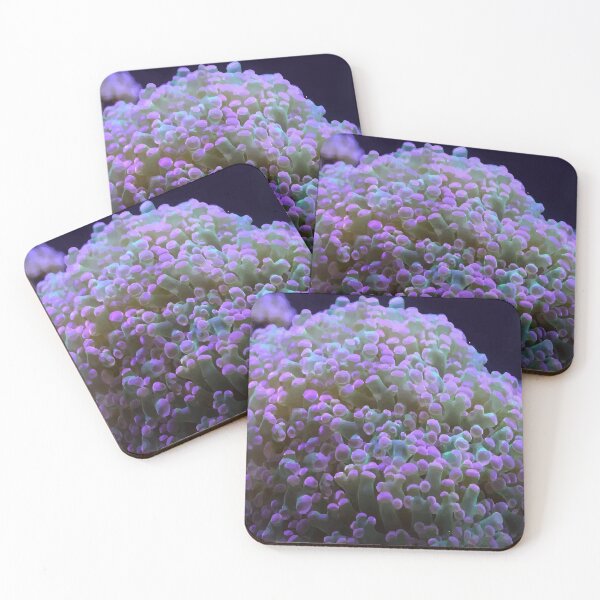 Item preview, A beautiful algae on a coral reef designed and sold by ILIA ILO.