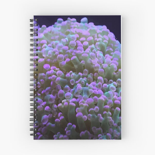 Item preview, A beautiful algae on a coral reef designed and sold by ILIA ILO.
