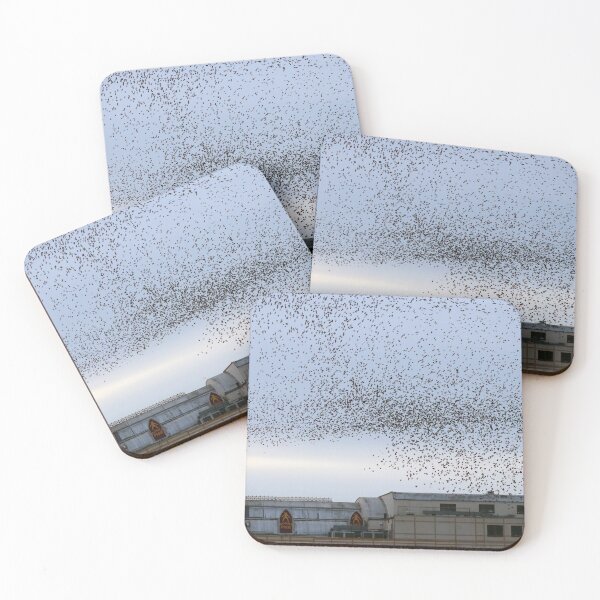 Item preview, Royal pier  murmurations I designed and sold by GreyFeatherPhot.