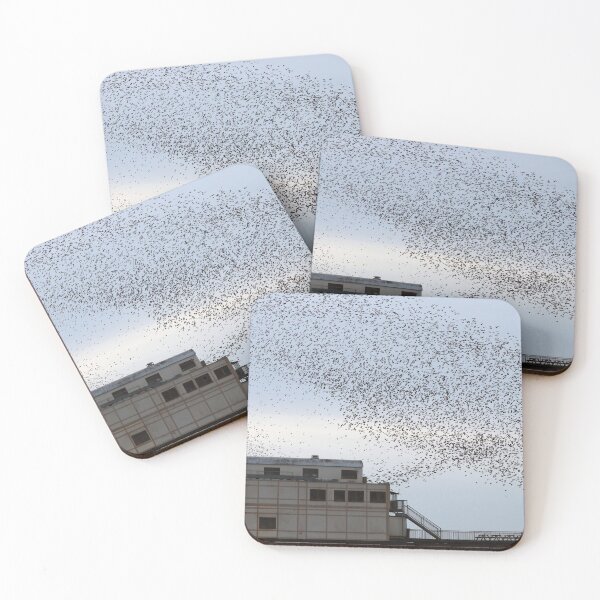 Item preview, Royal pier murmurations  designed and sold by GreyFeatherPhot.