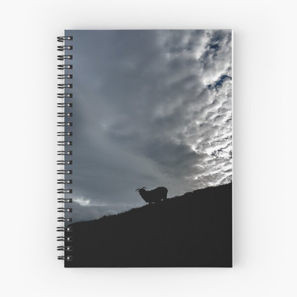 Item preview, In the dark, a lone sheep wanders on Croagh Patrick mountain in Ireland designed and sold by AlbertMi.