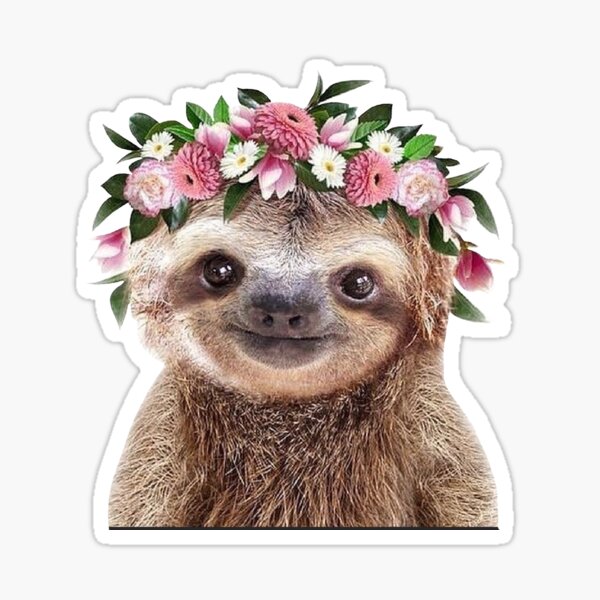 Item preview, Pretty Sloth designed and sold by MeaganBragwell.