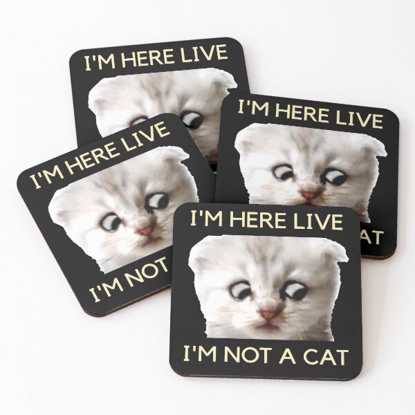 Item preview, I'm Here Live I'm Not A Cat designed and sold by IntegrityDesign.