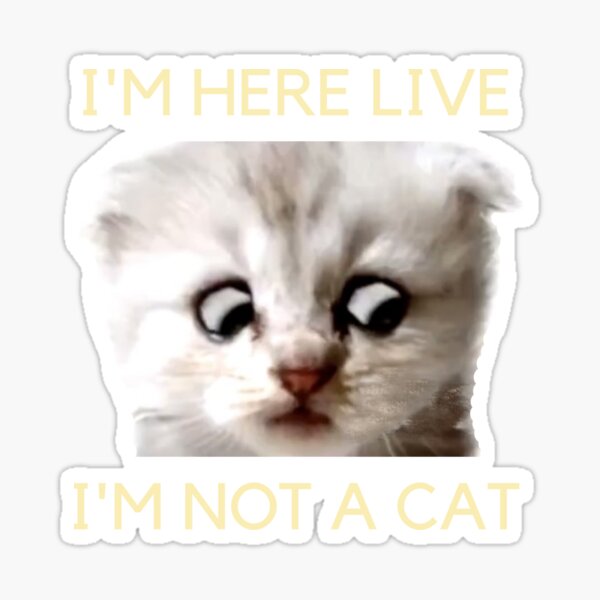 I'm Here Live I'm Not A Cat Sticker