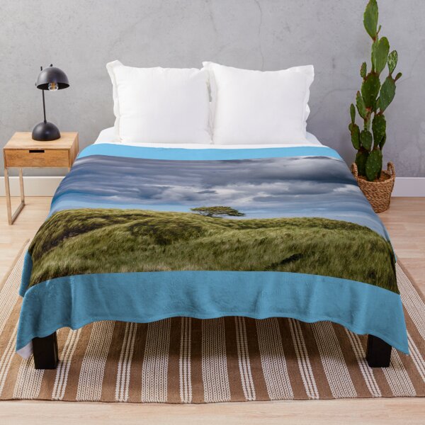 Item preview, Cloudy sky and a lone tree on a hill in Ards Forest Park, a few kilometers from Dunfanaghy in Ireland designed and sold by AlbertMi.