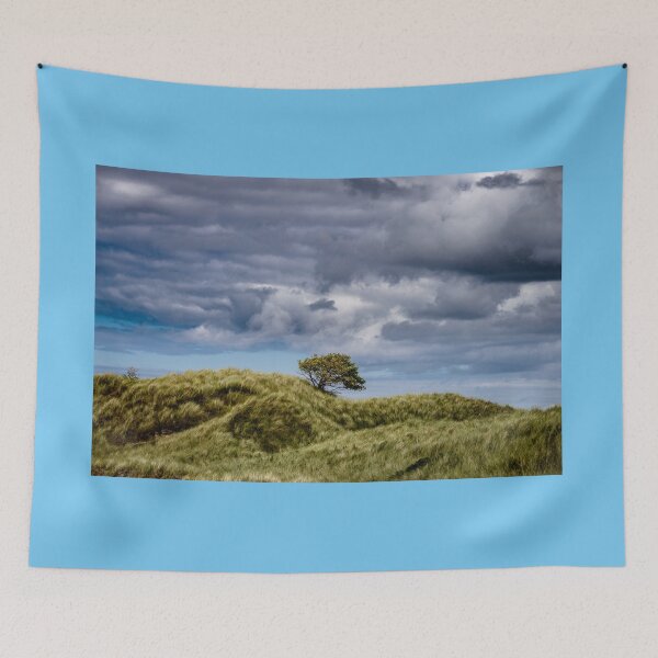 Item preview, Cloudy sky and a lone tree on a hill in Ards Forest Park, a few kilometers from Dunfanaghy in Ireland designed and sold by AlbertMi.