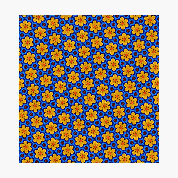 Photographic Print