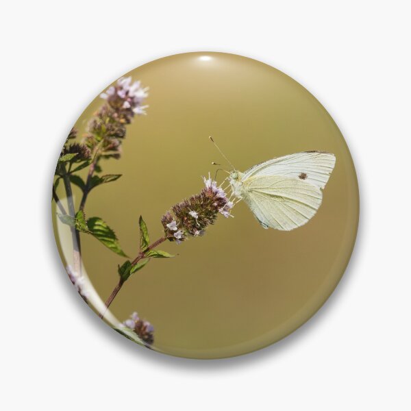 Item preview, Cabbage White 2013-1 designed and sold by Thomasyoung.