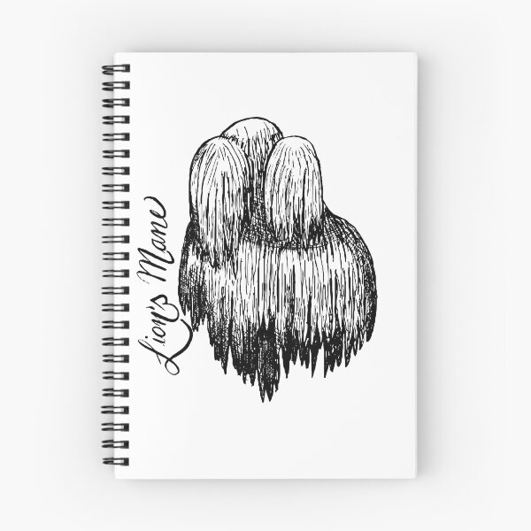 Item preview, Lions mane mushroom designed and sold by attabey.