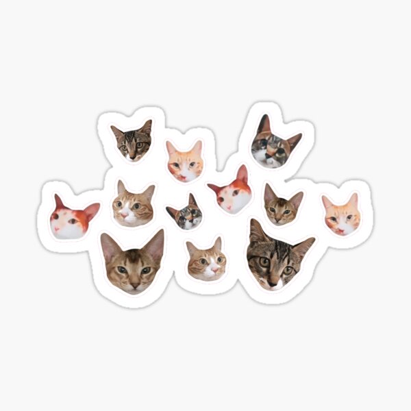 Lee Know Cat Stickers