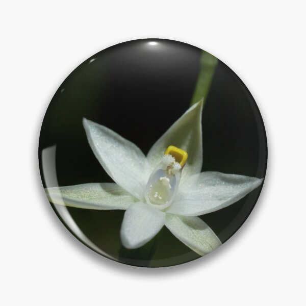 Item preview, White Sun Orchid designed and sold by Ben Loveday.