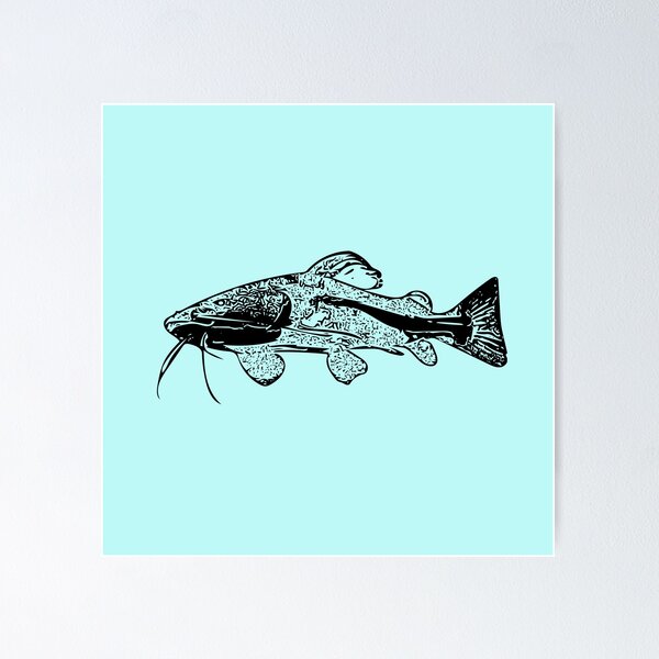 Redtail Catfish Black Print  Poster for Sale by designsasstultd