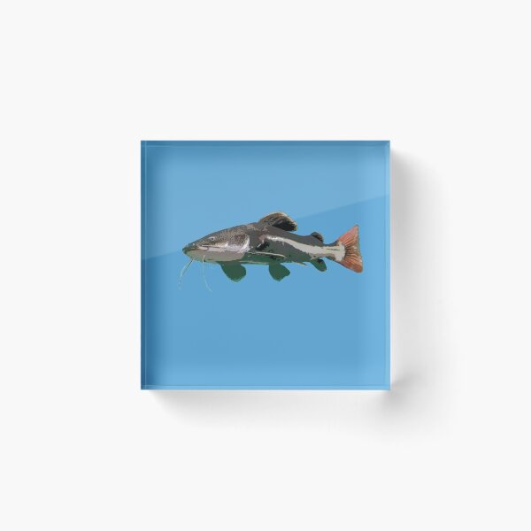 Item preview,  Redtail Catfish Color Print  designed and sold by designsasstultd.
