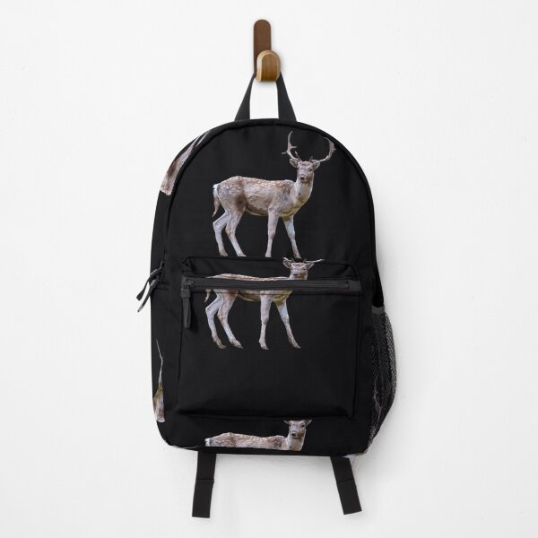 Item preview, Roe Deer Color Print designed and sold by designsasstultd.