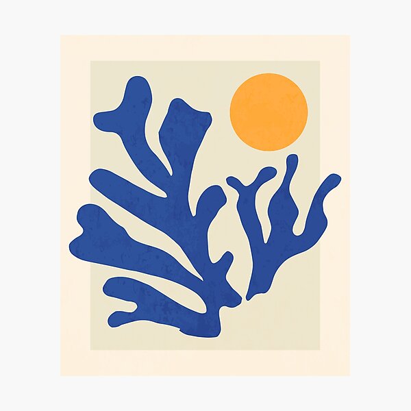 Sunshine Matisse Photographic Print