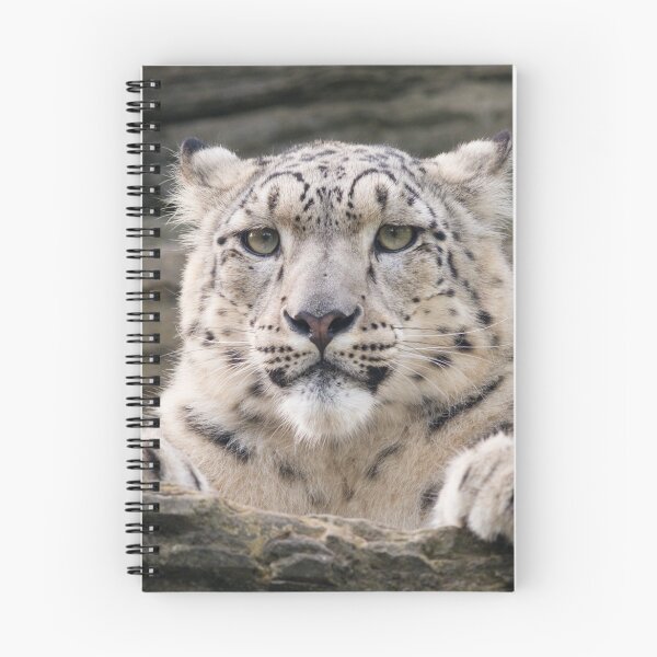 Item preview, Snow leopard (Panthera uncia) designed and sold by Steve Liptrot Photography.