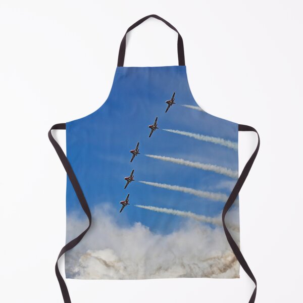 Item preview, The Royal Canadian Air Force SNOWBIRDS designed and sold by Travelways.