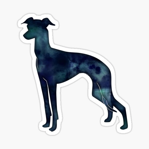 Italian Greyhound - Iggy - Black Watercolor Silhouette Sticker