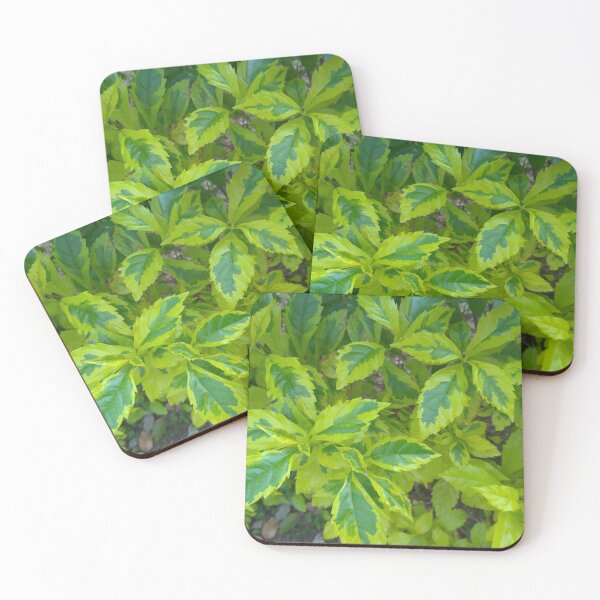 Item preview, Green and Yellow Leaved Plants designed and sold by Sinemathk.