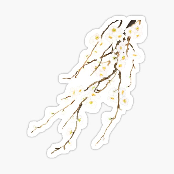 Item preview, white plum flowers blossom watercolor designed and sold by ColorandColor.