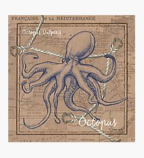 Burlap Shellfish Octopus Photographic Print