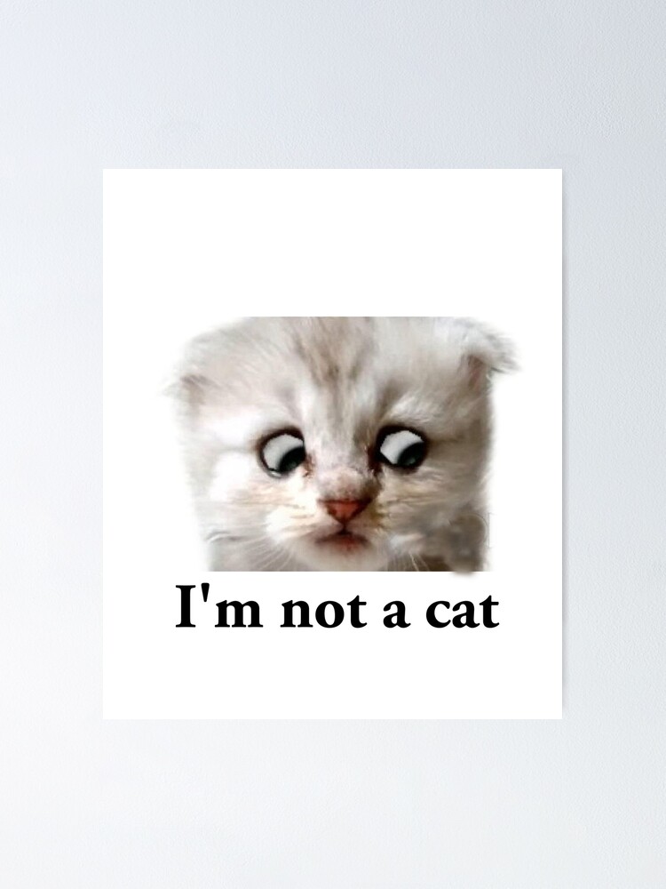 Zoom Cat Lawyer I M Not A Cat Poster By Courtesyofm Redbubble