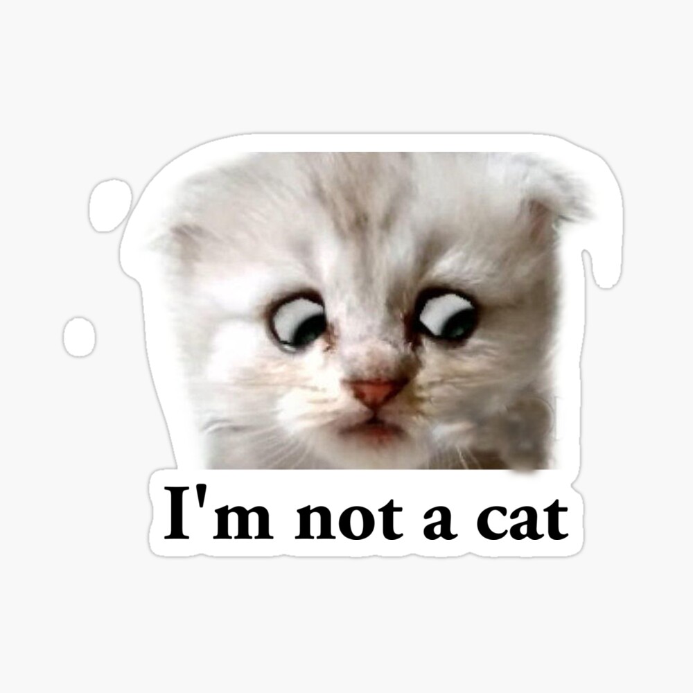 Zoom Cat Lawyer I M Not A Cat Poster By Courtesyofm Redbubble