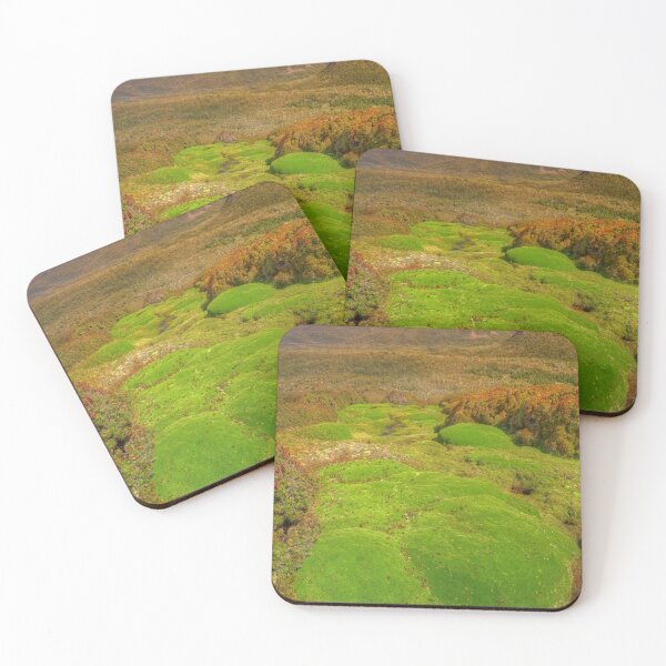 Item preview, Cushion plants and Ducane Range designed and sold by Kevin McGennan.