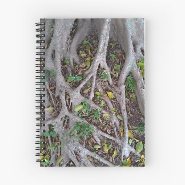 Item preview, Grey Tree Roots Closeup designed and sold by Sinemathk.