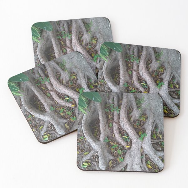 Item preview, Grey Tree Roots Closeup designed and sold by Sinemathk.
