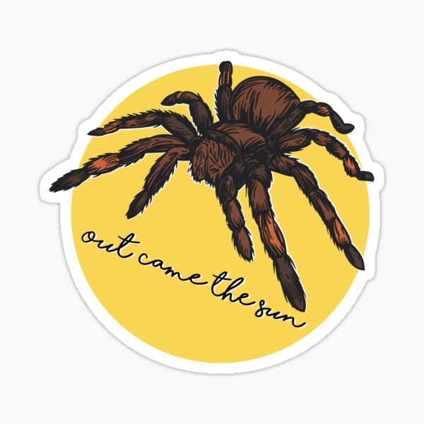 Item preview, Itsy Bitsy Spider designed and sold by JPdesignss.