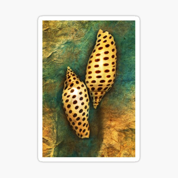 junonia Sticker