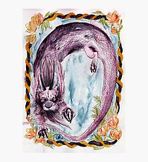 The Neverending Story - Falkor Photographic Print
