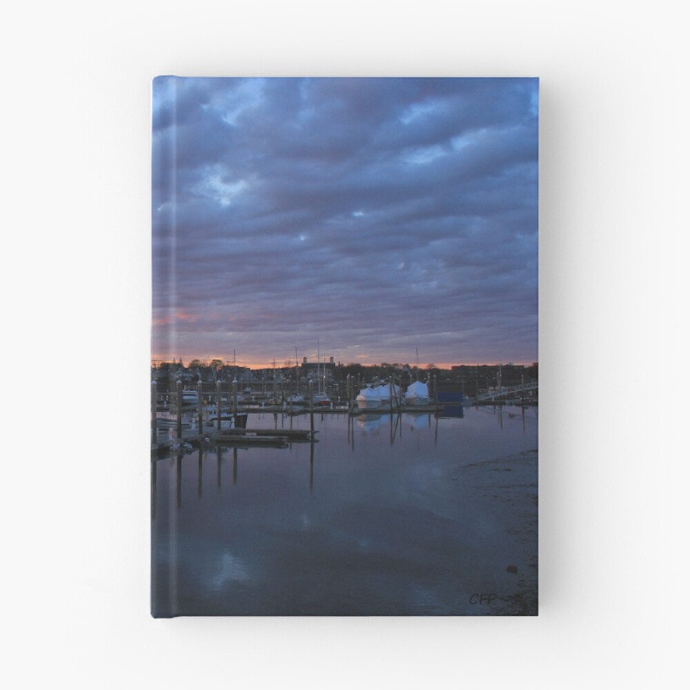 Aperçu de l'œuvre Carnet cartonné créée et vendue par Boo7.