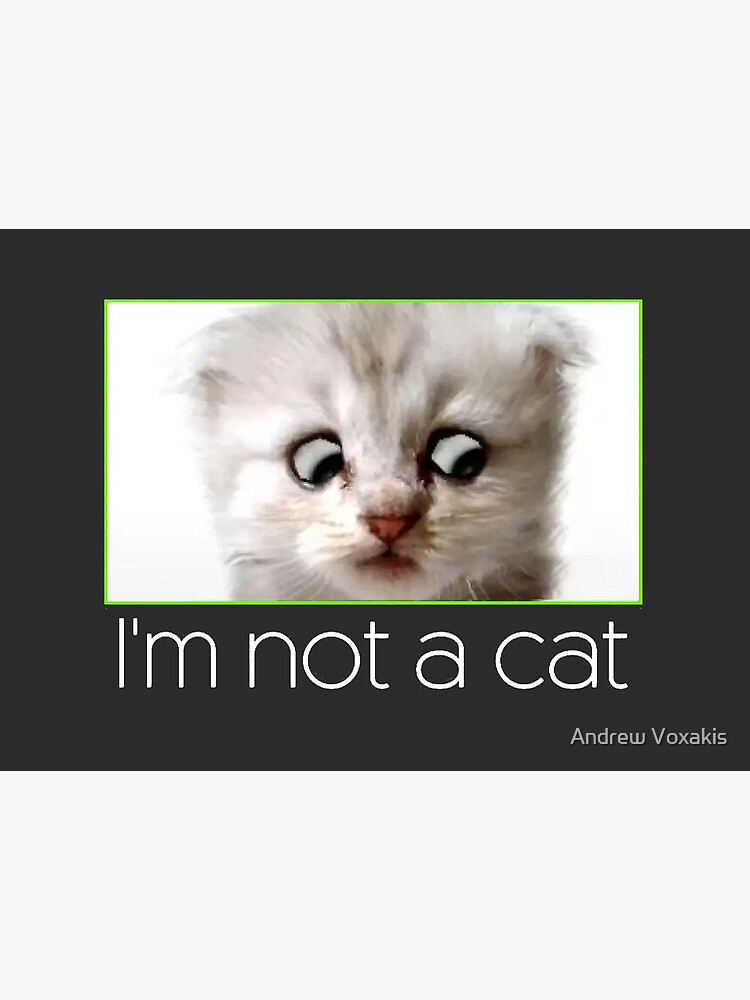 I M Not A Cat Art Board Print By Lostvox Redbubble