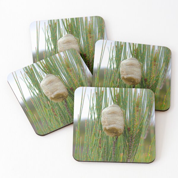 Item preview, Cocoon designed and sold by Nollyweeks.