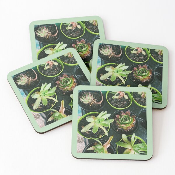 Artikelvorschau, Happy Green Succulents Pflanzen entworfen und verkauft von Alli  :).