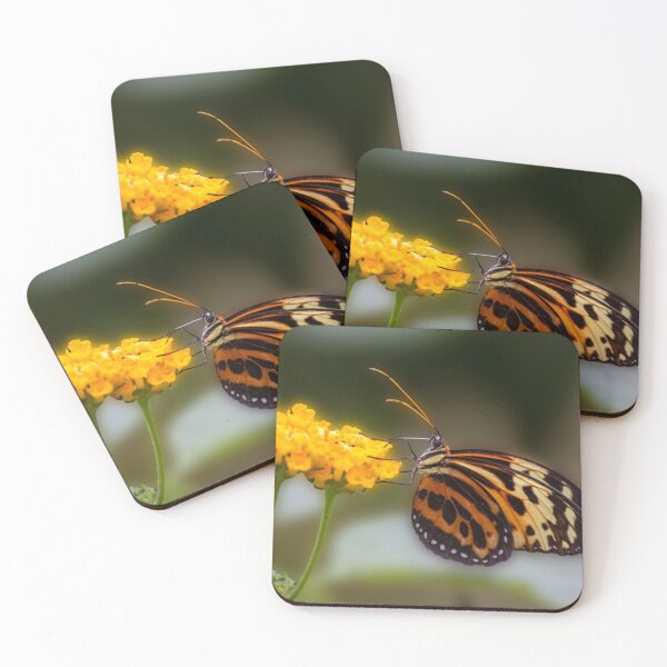 Item preview, Heliconian butterfly designed and sold by pietrofoto.