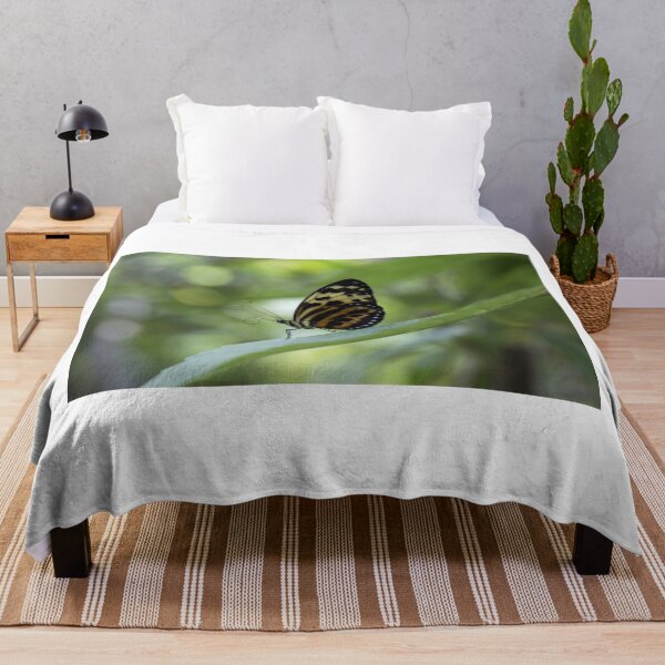 Item preview, Longwing butterfly designed and sold by pietrofoto.
