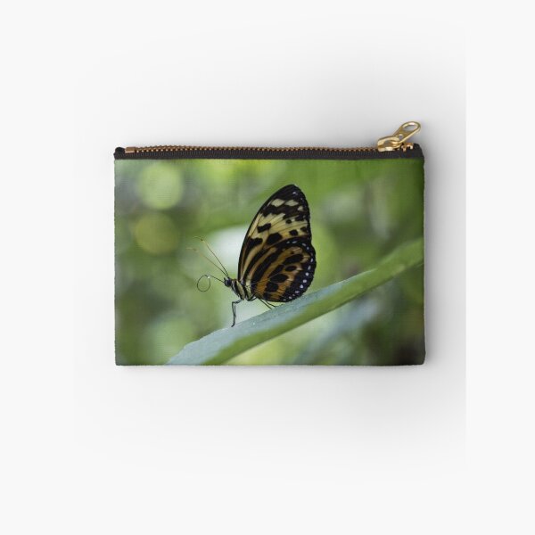 Item preview, Longwing butterfly designed and sold by pietrofoto.