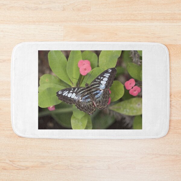 Item preview, Clipper butterfly designed and sold by pietrofoto.