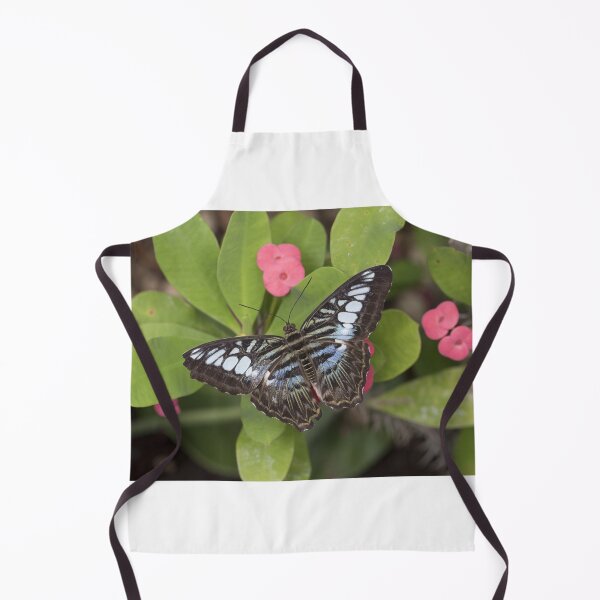 Item preview, Clipper butterfly designed and sold by pietrofoto.