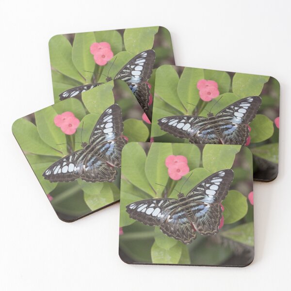 Item preview, Clipper butterfly designed and sold by pietrofoto.