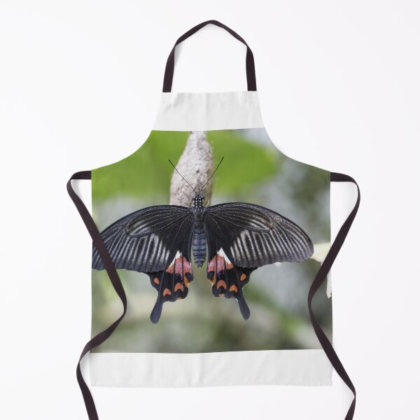Item preview, Black butterfly designed and sold by pietrofoto.
