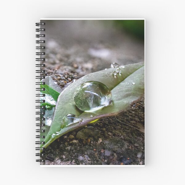 Item preview, Raindrops designed and sold by Cornishinoz.